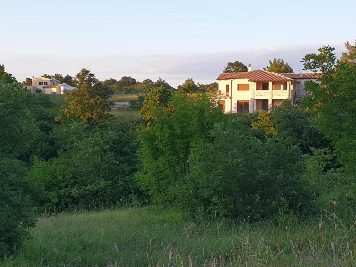 Villa Istra Divšići Extérieur photo