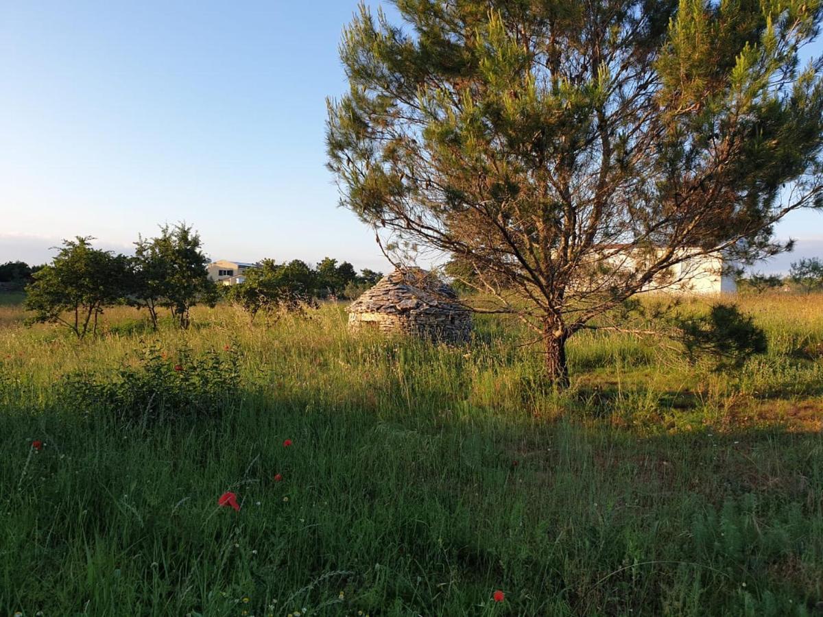 Villa Istra Divšići Extérieur photo