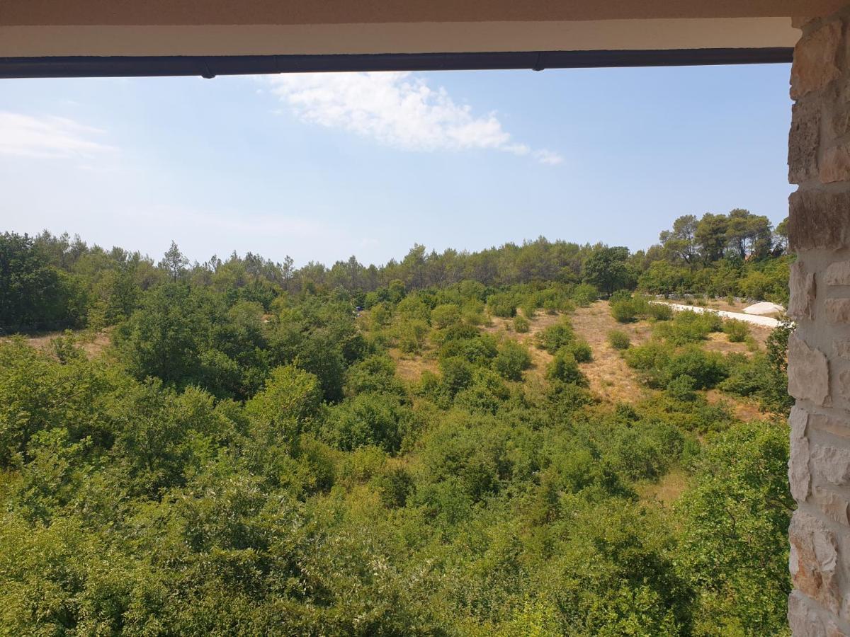 Villa Istra Divšići Extérieur photo